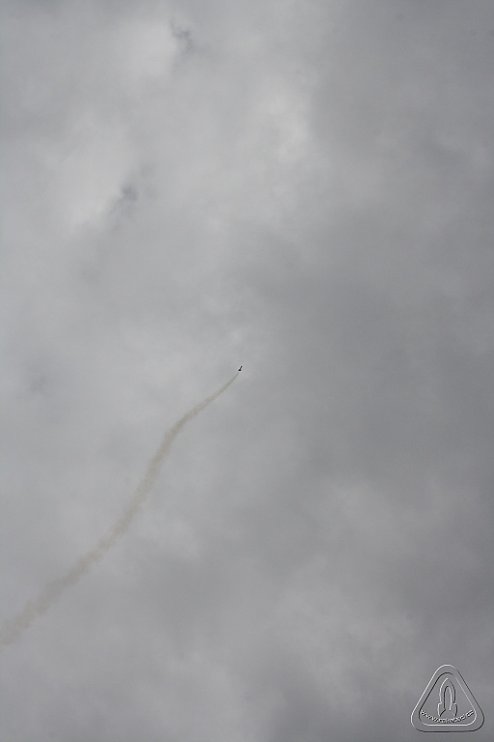 2013 Svojek Mirek Topinka